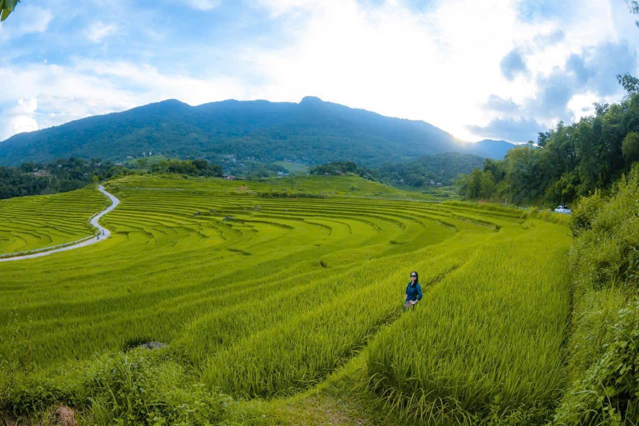 Вілла Puluong Bamboo Huong Ba Thuoc Екстер'єр фото